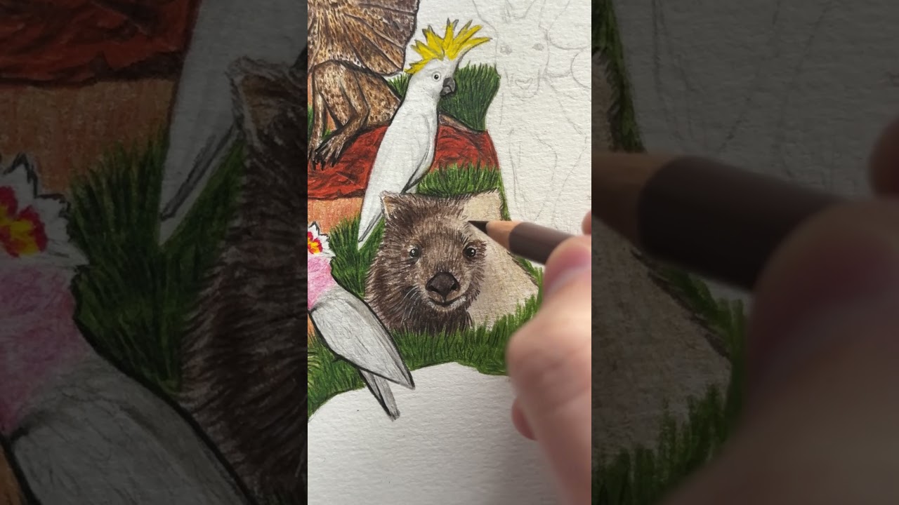 How Nathan Colours his World