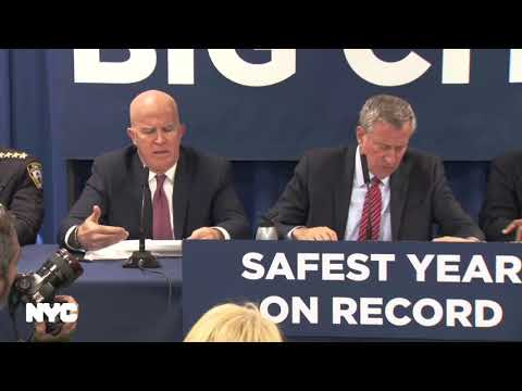 NYPD 2018 Crime Stats