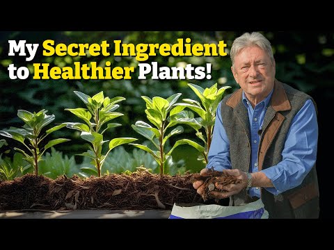 The Best Way to Improve Your Soil and Make Your Plants Grow!