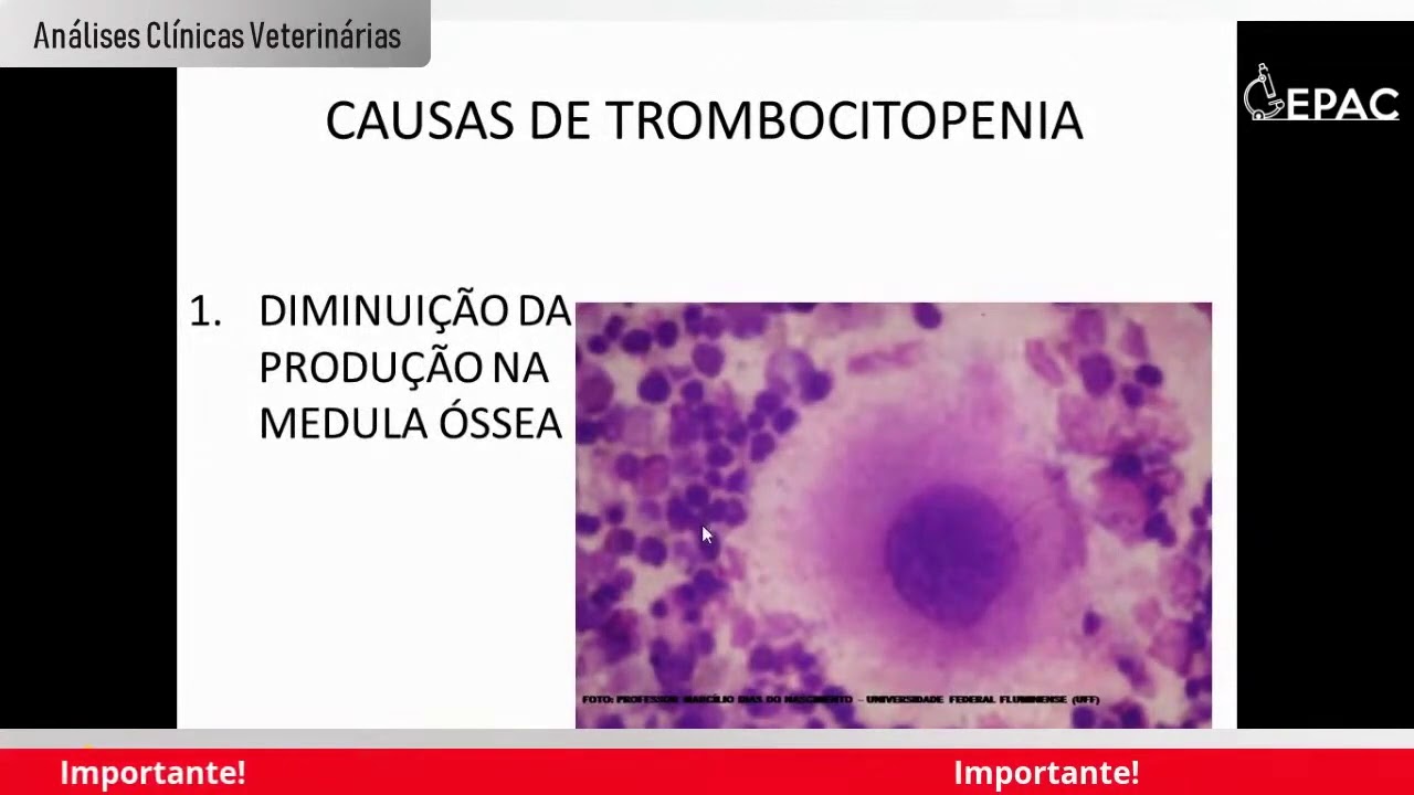 Alterações da Coagulação Primária
