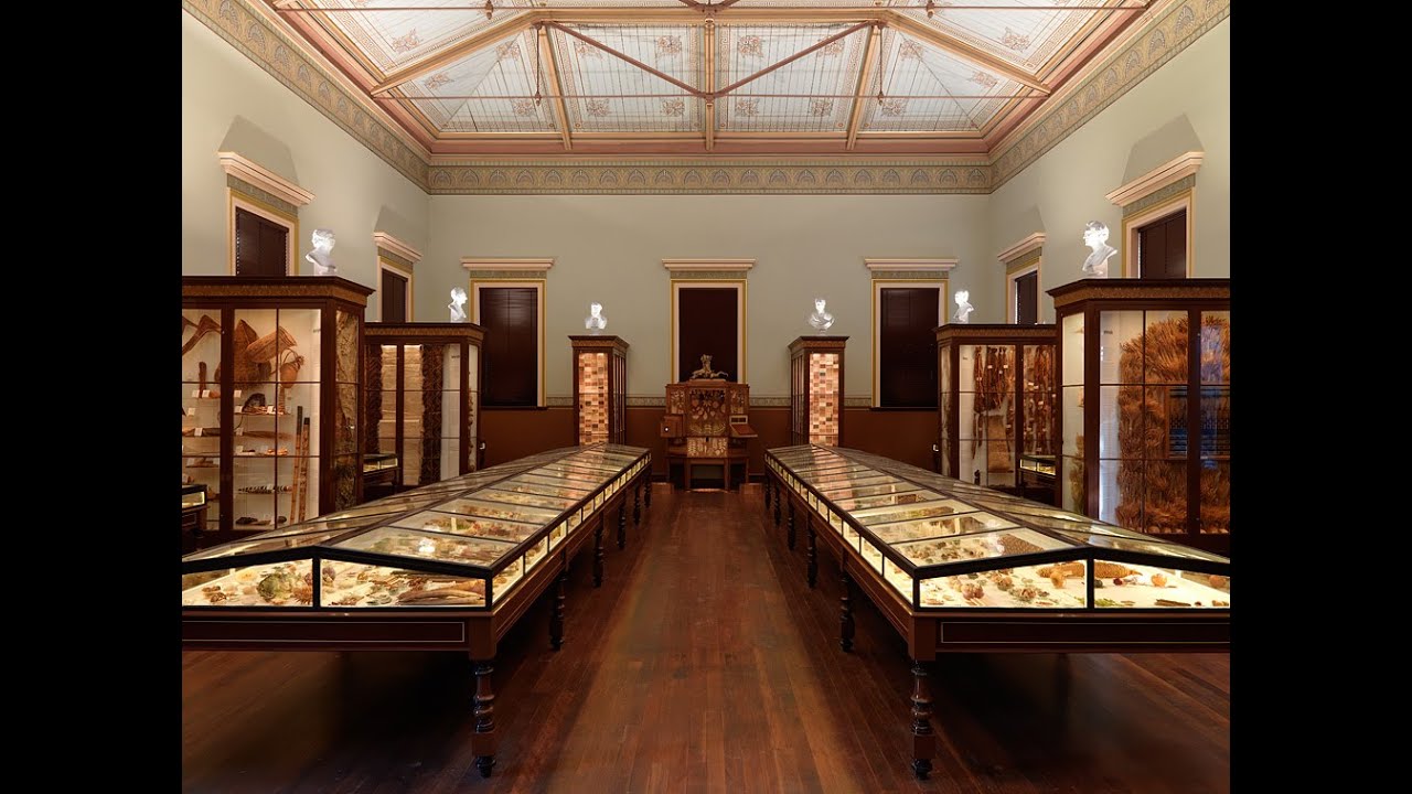 Discover a captivating peek into Santos Museum of Economic Botany.