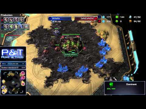 (HD859) Whitera vs Divi - PvZ - Heart of the Swarm [FR]