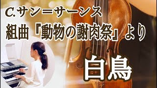Download lagu 組曲『動物の謝肉祭』より「白鳥」（C.サン＝サーンス）/ Le Cygne(The Swan)　Saint-Saëns エレクトーン mp3