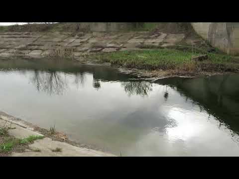 In prohibitie pe canalul de langa Movilita ( Dridu - Livedea ) nu gasesc braconier dar vad pesti