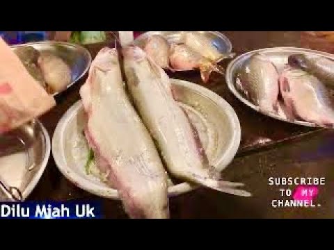 Bangladesh vlog | Bangladesh fishing vlog | Big bual fish