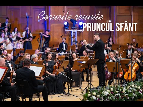 Pruncul sfânt - Coruri reunite & Orchestra Pro Nobile & Signum | Concert „THE KING OF KINGS”