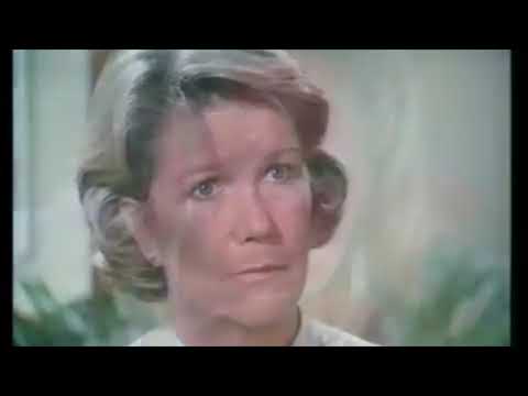 SVT2 (1969-2019) 50th Anniversary