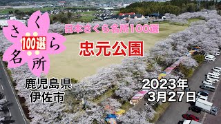 忠元公園　日本さくら名所100選