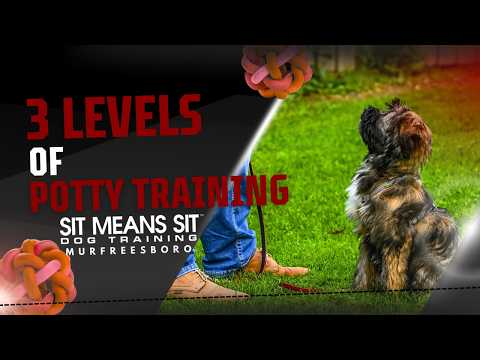 Training Video