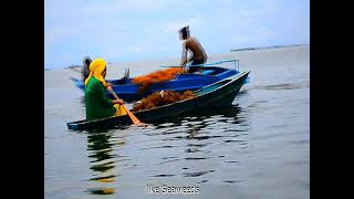 Download lagu Sitangkai, Tawi-Tawi mp3