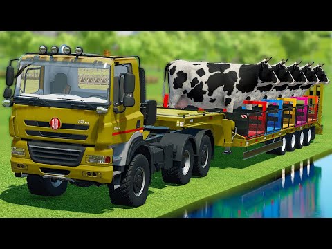 LOAD AND TRANSPORT POTATOES, EGGPLANTS AND COWS WITH STEYR TRACTORS - Farming Simulator 22