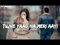 Tujhe Yaad Na Meri Aayi ️ Slowed And Reverb 90 Lofi Use Headphones Lofisongs Lofi