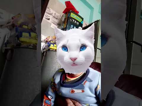 Anvi Bani Billi..😻😻 #shorts #trending #ytshorts