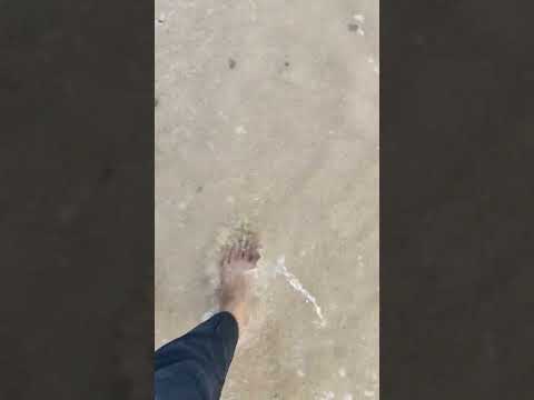 VID 20230111 174718 1