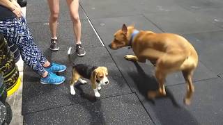 Wednesday - 20 June 2018