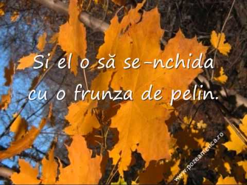 download lagu mp3 mp4 Nicu Alifantis A Venit Toamna Versuri, download lagu Nicu Alifantis A Venit Toamna Versuri gratis, unduh video klip Nicu Alifantis A Venit Toamna Versuri