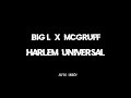 Big L & McGruff - Harlem Universal (Lyrics)