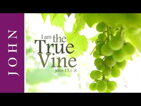 Cover image for YouTube video I Am the True Vine