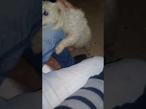 Compre Baton 😅😂