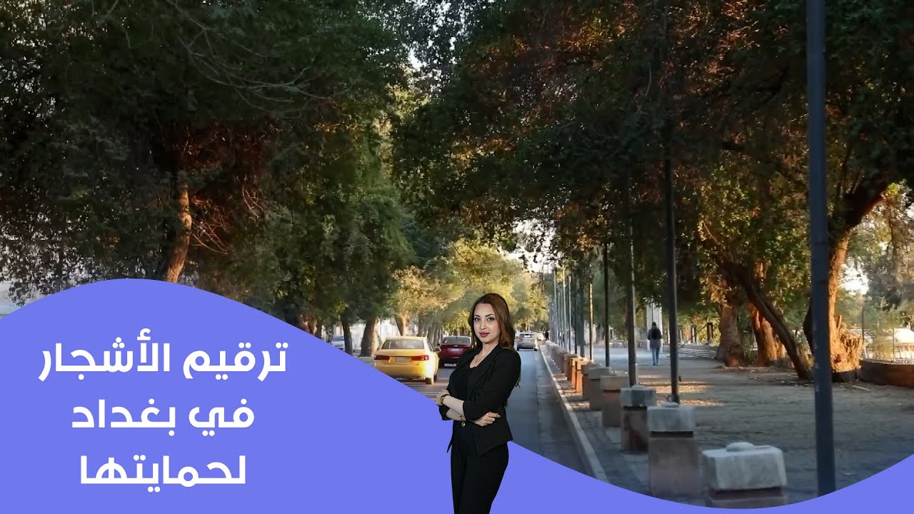 فيديو | ترقيم الأشجار في بغداد لحمايتها