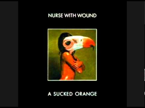Nurse With Wound - Pleasent Banjo Intro With Irritating Squeaking Noise
