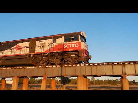 Junee Trains SCT013 & SCT008 with 2BM9