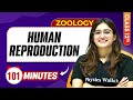 Human Reproduction In 100 Minutes Class 12th Zoology Mind Map Series