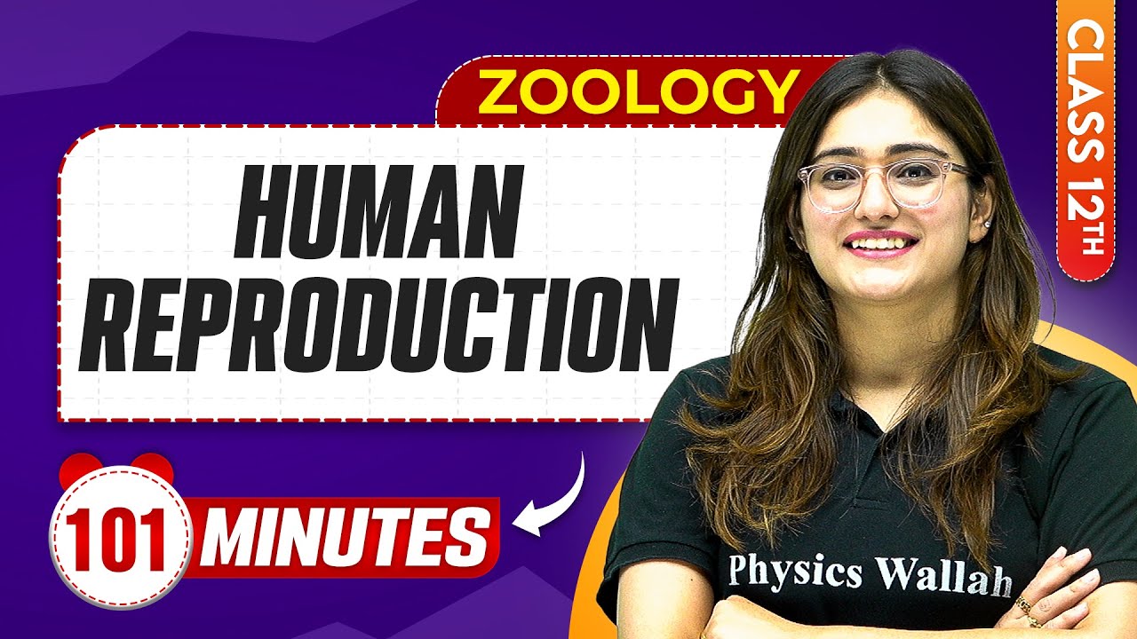 Human Reproduction in 100 Minutes | Class 12th Zoology | Mind Map Series