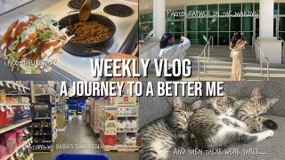 Short and simple: Weekly Vlog Pt.63