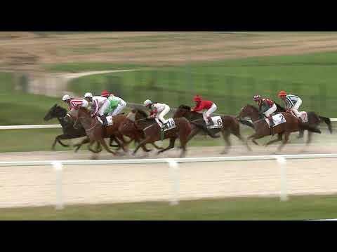 2020.10.11. 05. futam - JEREMY DÍJ (III.kat.) (szintetikus pálya)