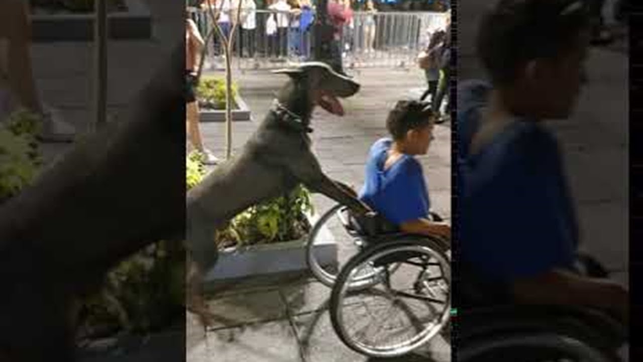 YouTube video