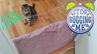 How I Made a Cat Proof Gate/Barrier🌜Removable for Doorway DIY