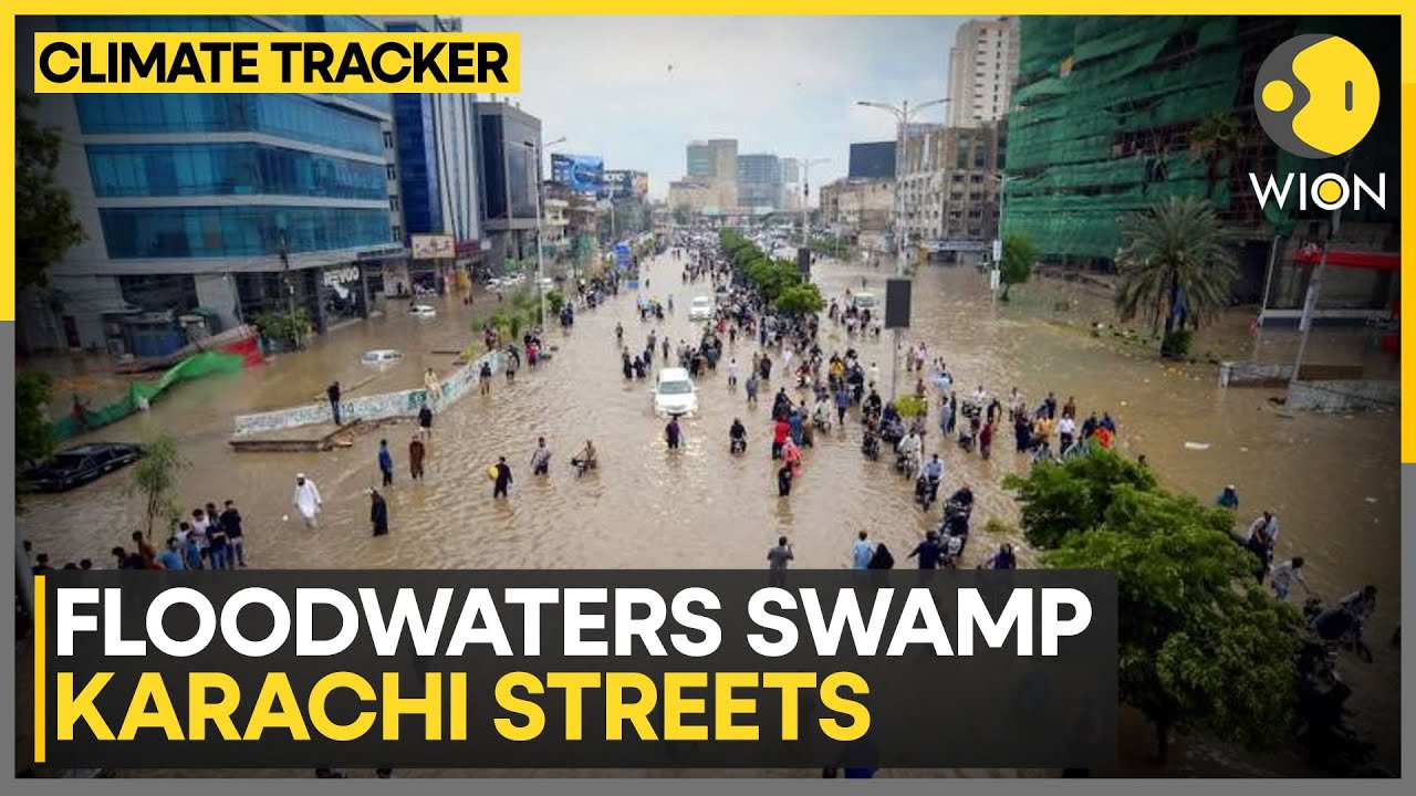 Pakistan: Mass Evacuations In Punjab Floods | WION Climate Tracker