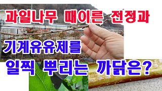 과일나무 때이른 전정과 기계유유제 일찍 뿌리는 까닭은? -과수 병해충 피해와 과수 병해충 방제.갈색날개매매충…