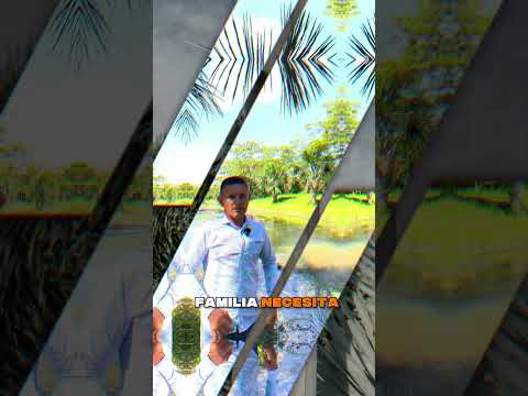 🌿 Parcelas desde $72 Millones en San Carlos de Guaroa | A 3 Minutos del Pueblo