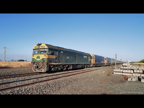 7732V Four Diesel Locomotive Pacific National Grain Train (6/3/2023) - PoathTV Australian Railways