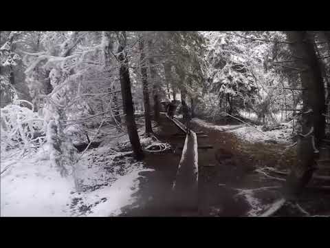 Pikkujouluajot - Maunula