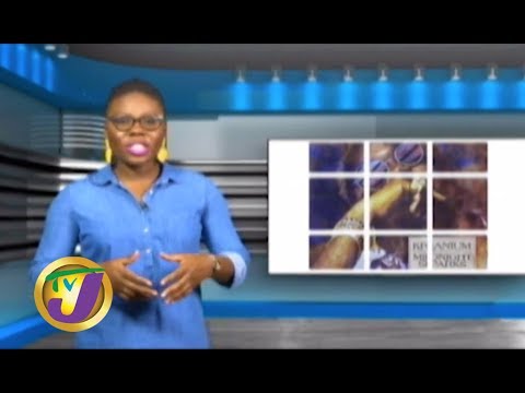 TVJ Entertainment Prime: Kranium - December 6 2019