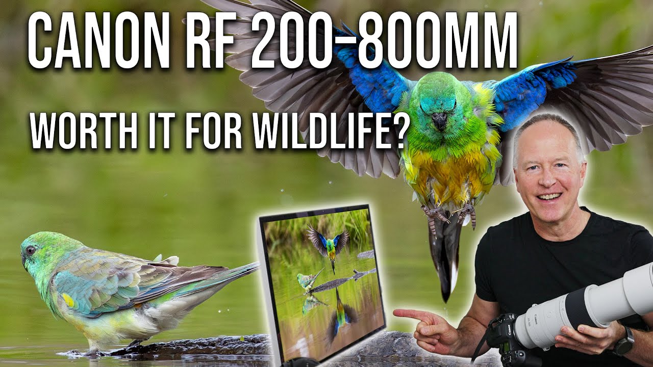 Canon RF 200-800mm – Is This the Ultimate Wildlife Lens?