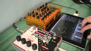Video thumbnail for Mutable Instruments Anushri and EHX Deluxe Memory Boy by SYNTHWAY
