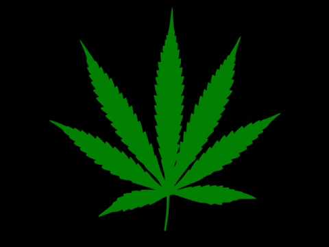 No light Duo Savukoll