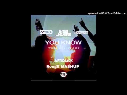 Afrojack & Bassjackers vs. Zedd & SG - I Want You To Know vs. What We Live For - RougE Mashup
