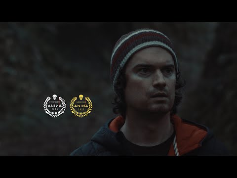 Into The Night [2019] - Trailer