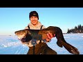 Video Thumbnail for Lake Trout & Burbot, ice fishing 3 separate days