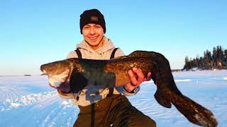 Lake Trout &amp; Burbot, ice fishing 3 separate days