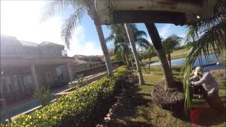 Queen Palm Installation by Sunscape