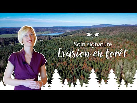 Soin signature "Evasion en forêt" à l'hôtel SPA Les Rives Sauvages