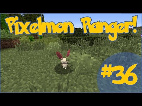 Pixelmon Ranger! Pinching Plusles!! - Episode #36