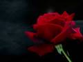 Scent of a Woman - Itzhak Perlman 