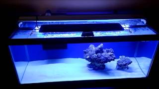 How to setup a 20 gallon nano reef tank, DAY 2, Finnex RAY2 DB LED light